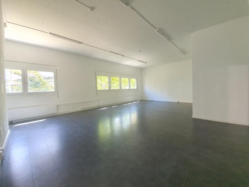 Falkensteinerstrasse 17