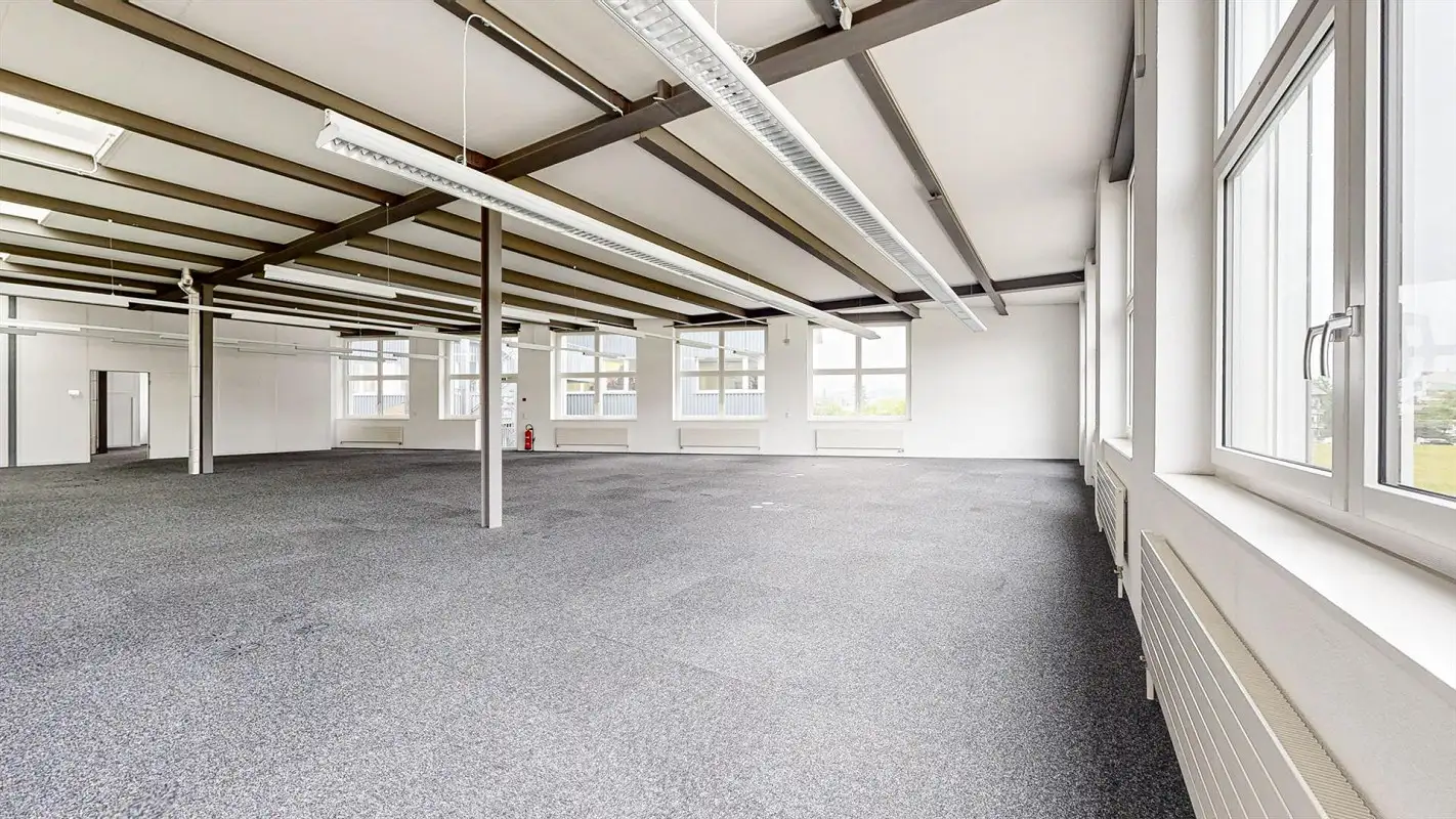 Inactive office Walzmühlestrasse 50