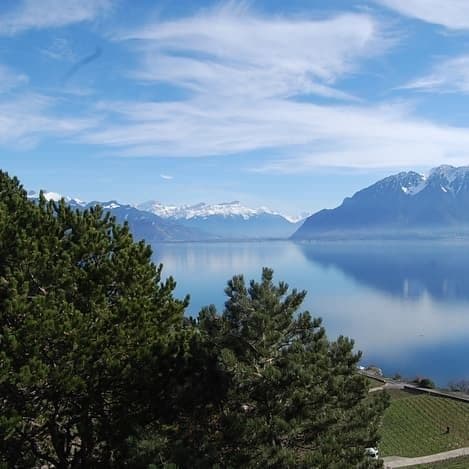 Chemin des Condémines 2