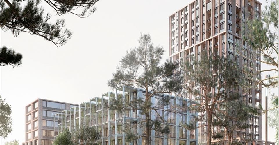 Chemin des bouchers 1