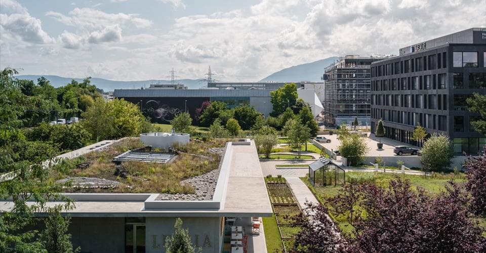 Route du Nant d'Avril  150