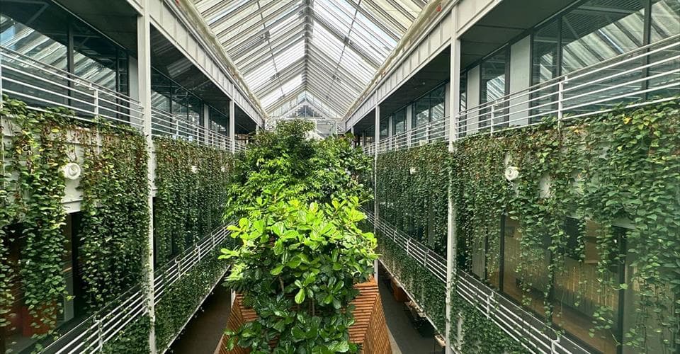 Route du Nant d'Avril  150