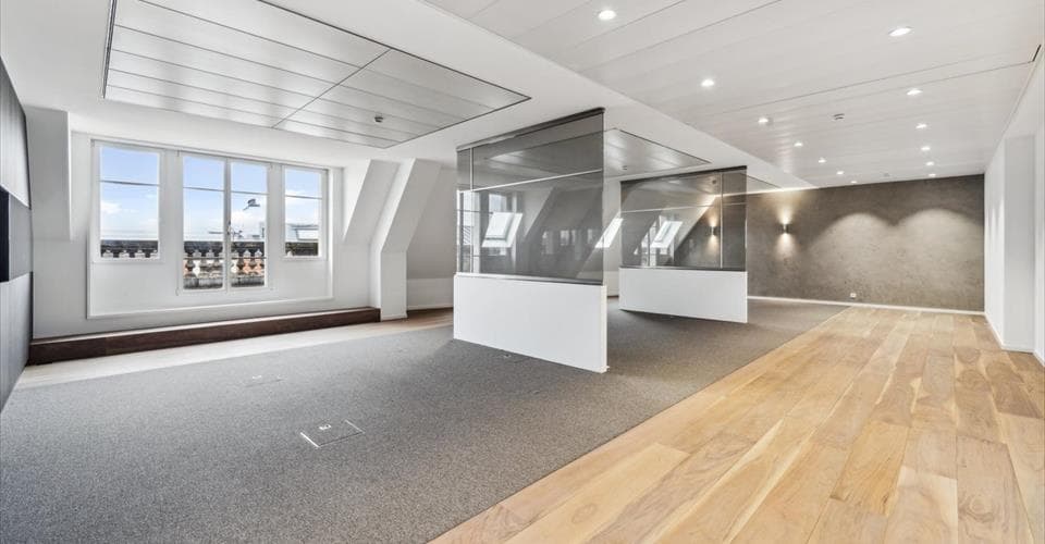 Passage des lions  6