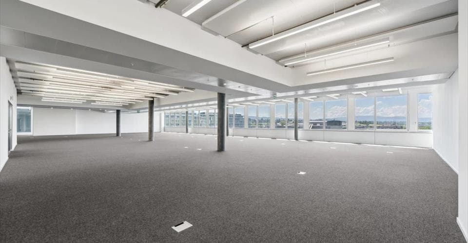 Büro an Route de la Galaise 34, 1228 Plan-les-Ouates – Bild 5 von 13