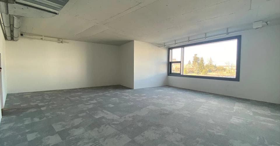 Büro an 3, rue de la Bergère, 1217 Meyrin – Bild 3 von 9