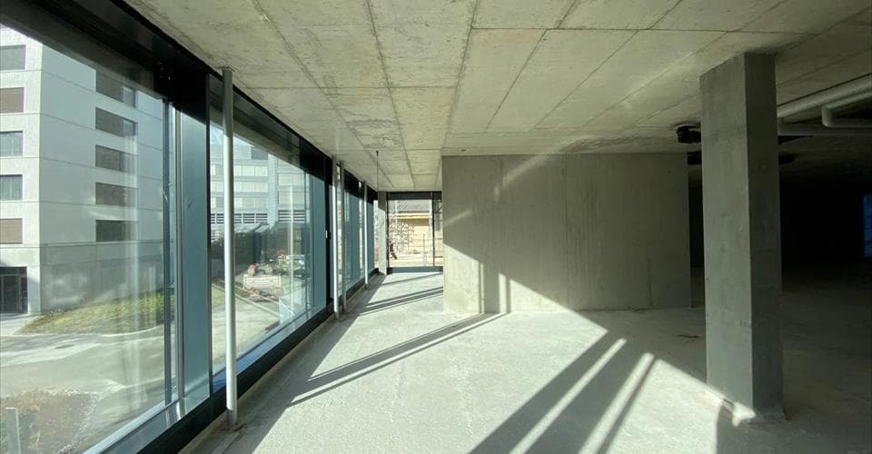 Büro an Avenue TREMBLEY 12, 1209 Genf – Bild 2 von 8