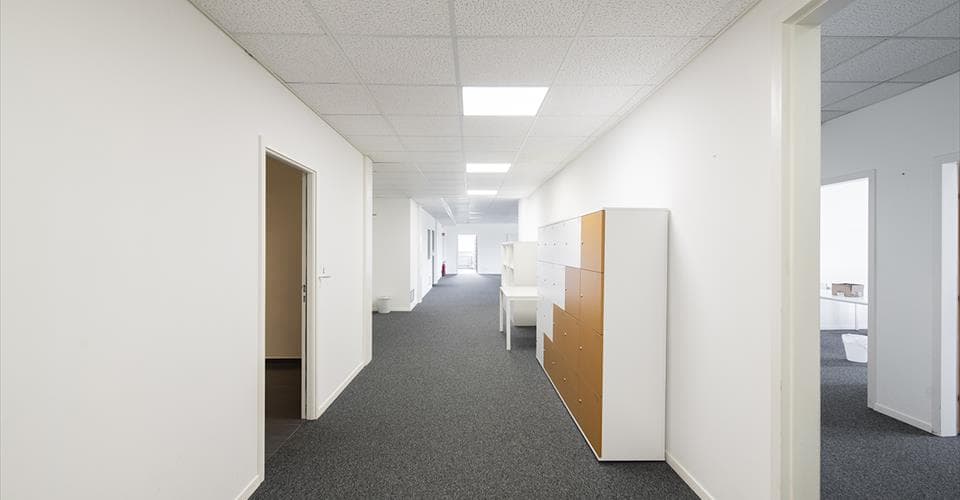 Gewerbe an Chemin des Aulx 12, 1228 Plan-les-Ouates – Bild 3 von 6