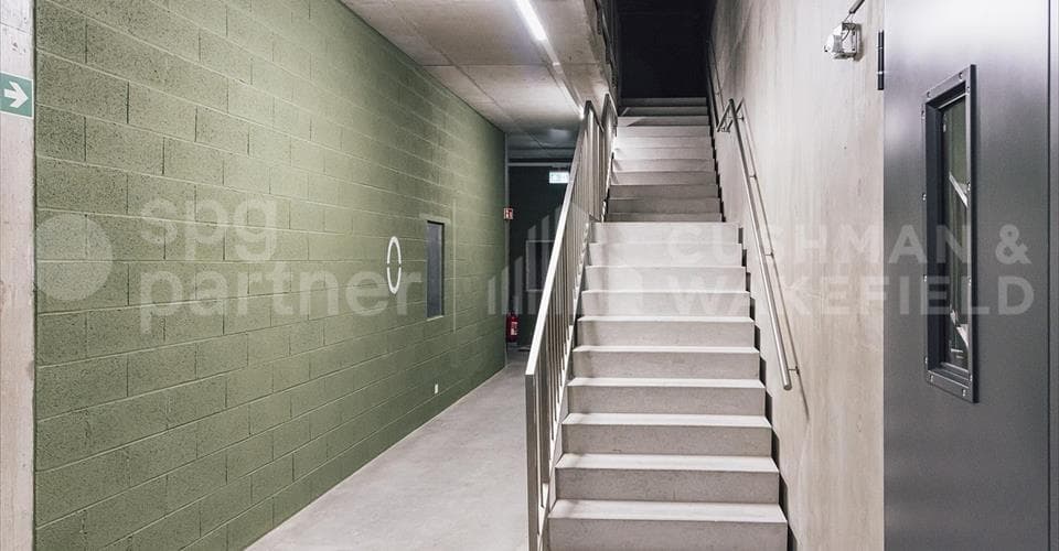 Chemin de l'Émeraude