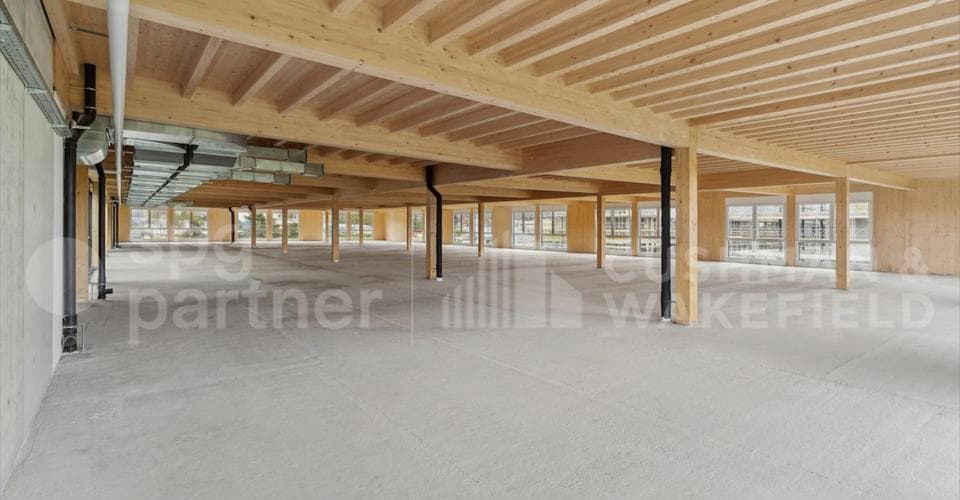 Route des Avouillons