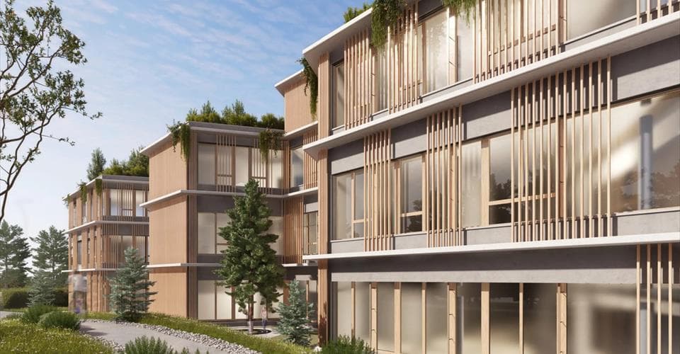 Chemin des champs courbes