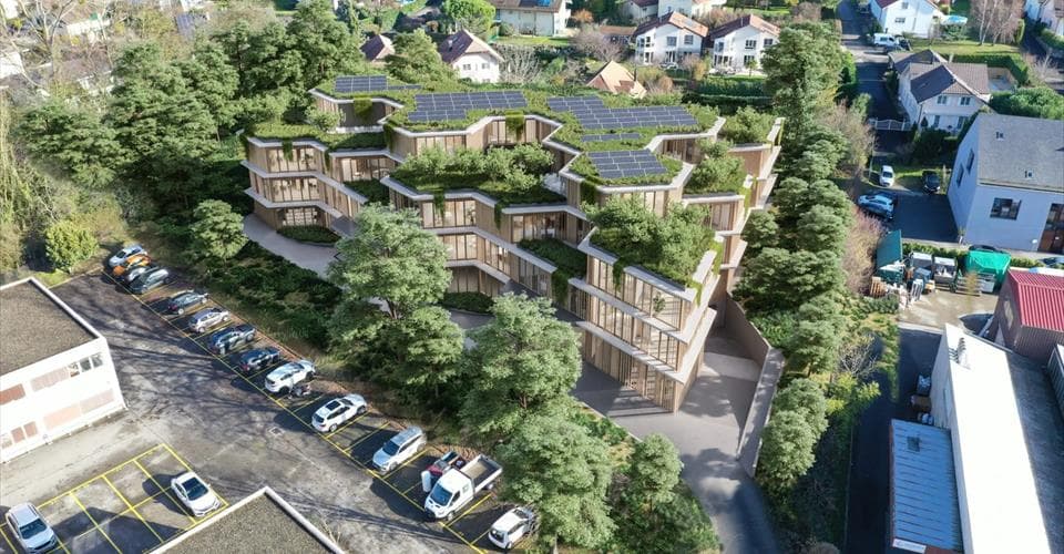 Chemin des champs courbes