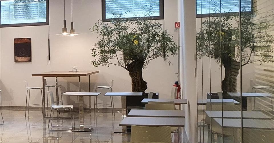 Rue Kazem-Radjavi 1-3 AGORA