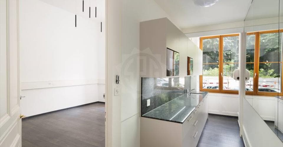 Rue Jean-Sénebier 20