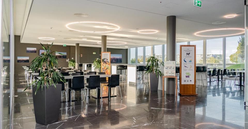 Büro an Avenue de Valmont 41	, 1010 Lausanne – Bild 3 von 9