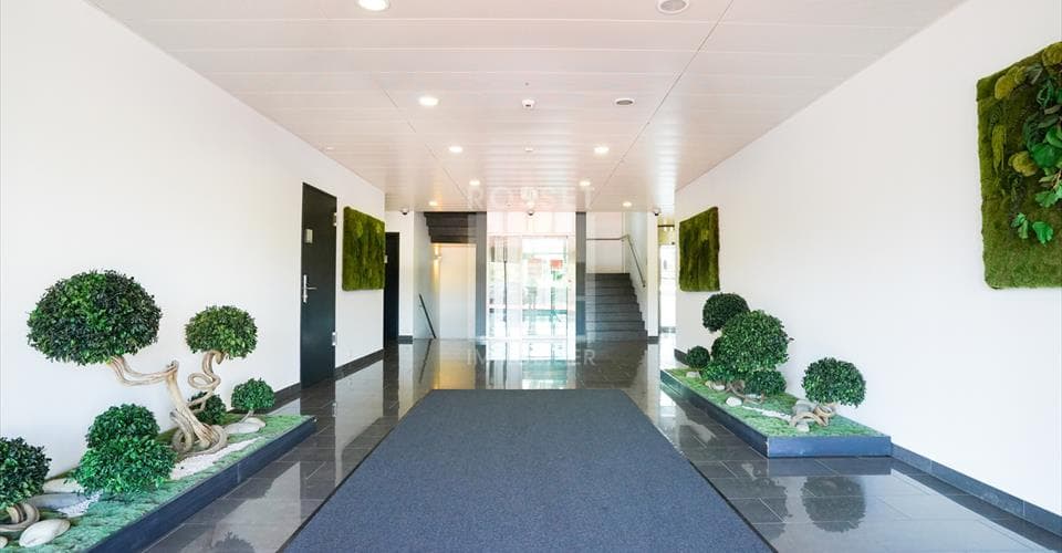 Chemin des Papillons 4