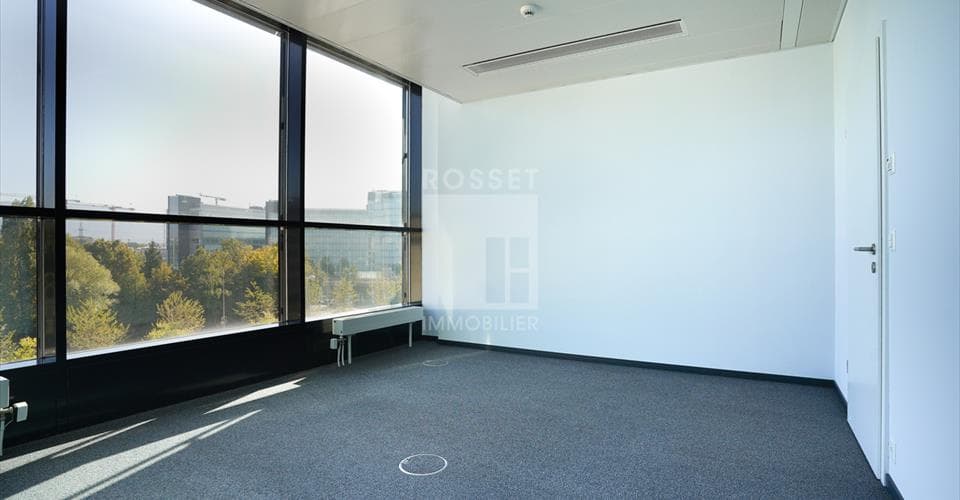 Chemin des Papillons 4