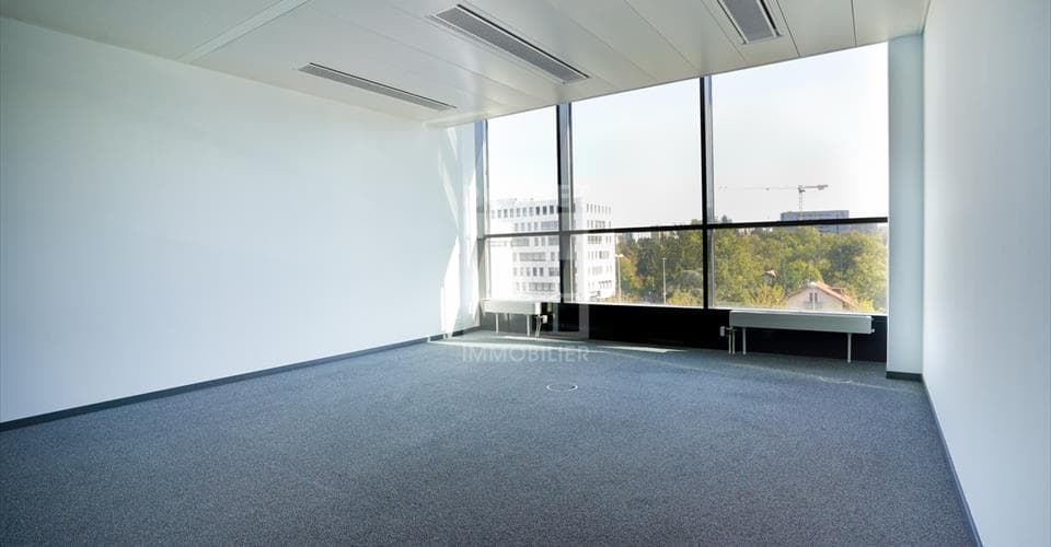 Chemin des Papillons 4