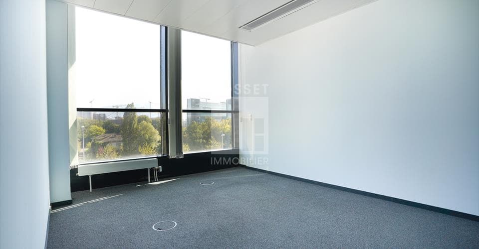 Chemin des Papillons 4