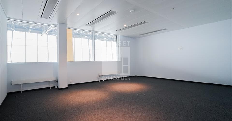 Chemin des Papillons 4