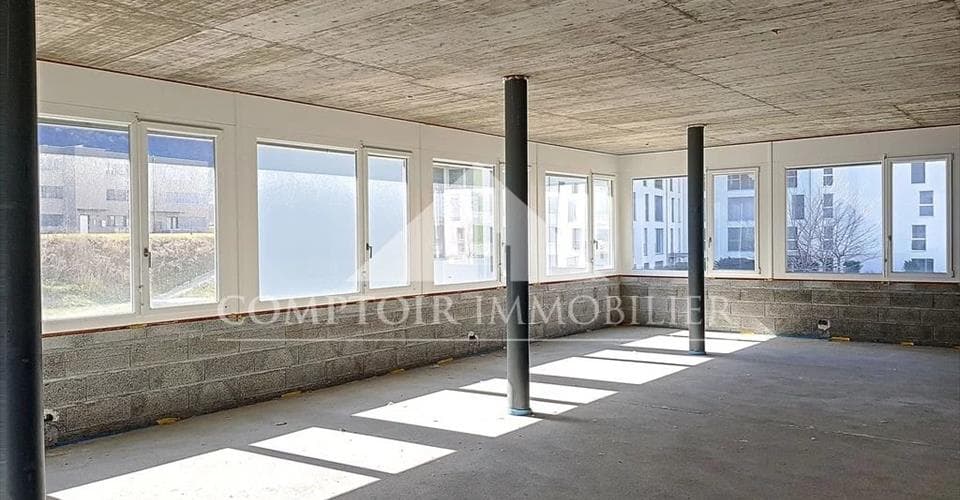 Avenue des Platanes 11