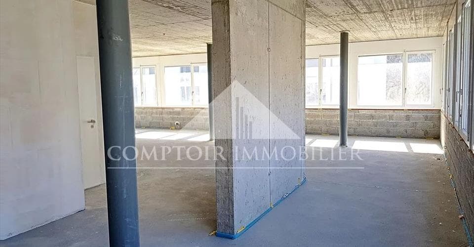 Avenue des Platanes 11