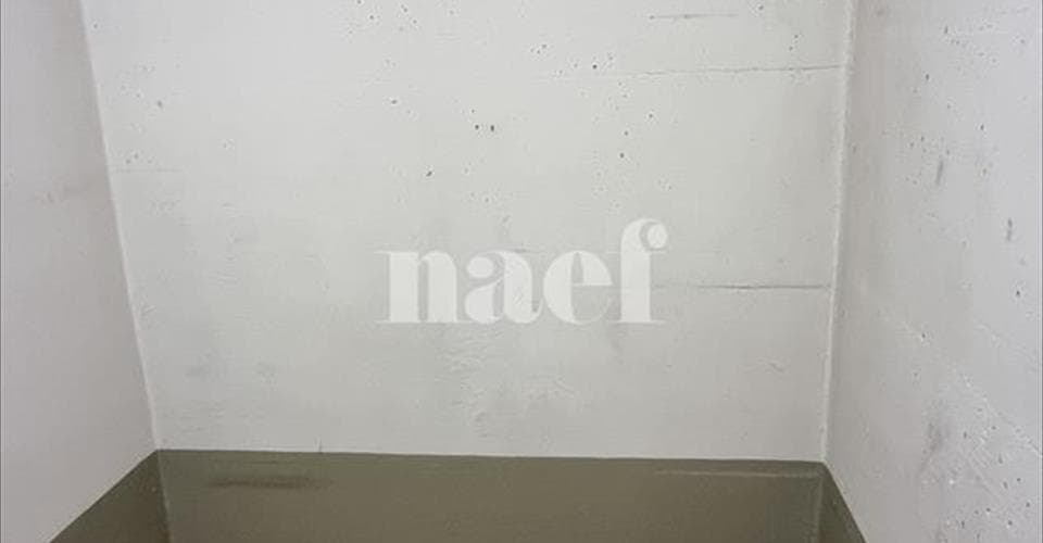 Rue du Conseil-Général 20