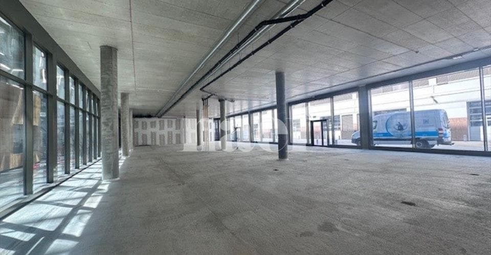 Chemin du Champ-des-filles 4