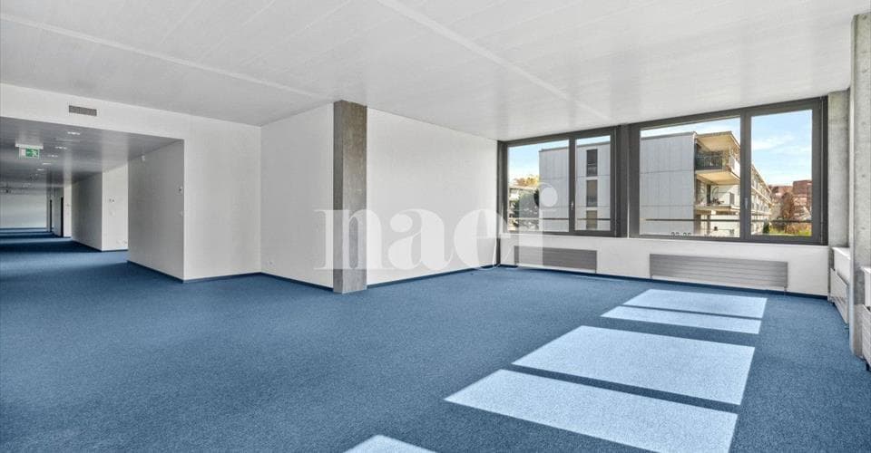 Chemin de Précossy 29