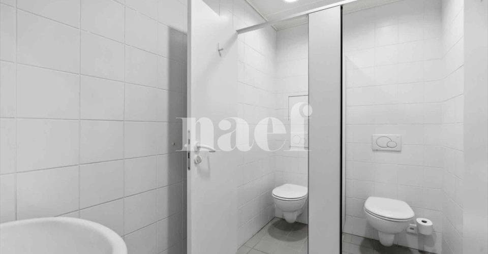 chemin de Précossy 29