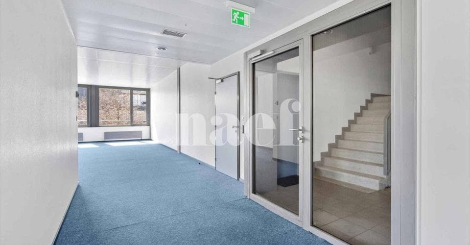 chemin de Précossy 29