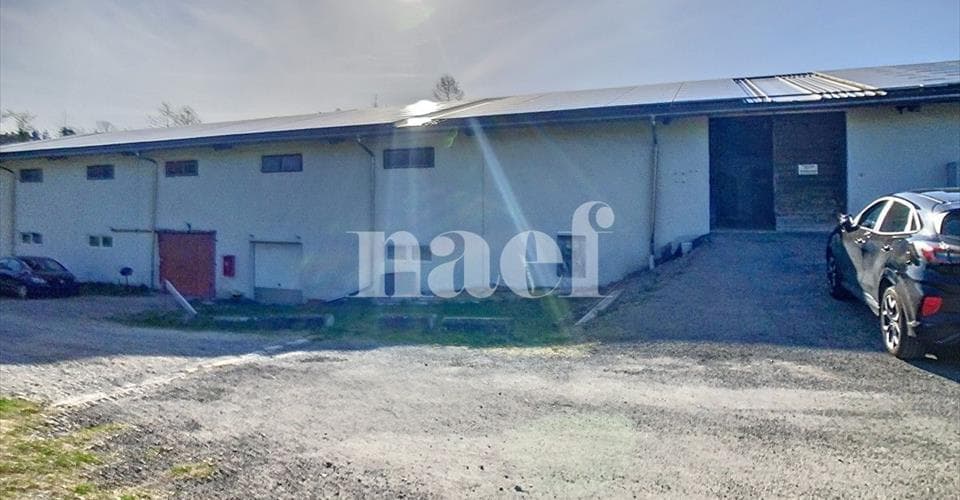 Chemin des Planches à Michoud 10