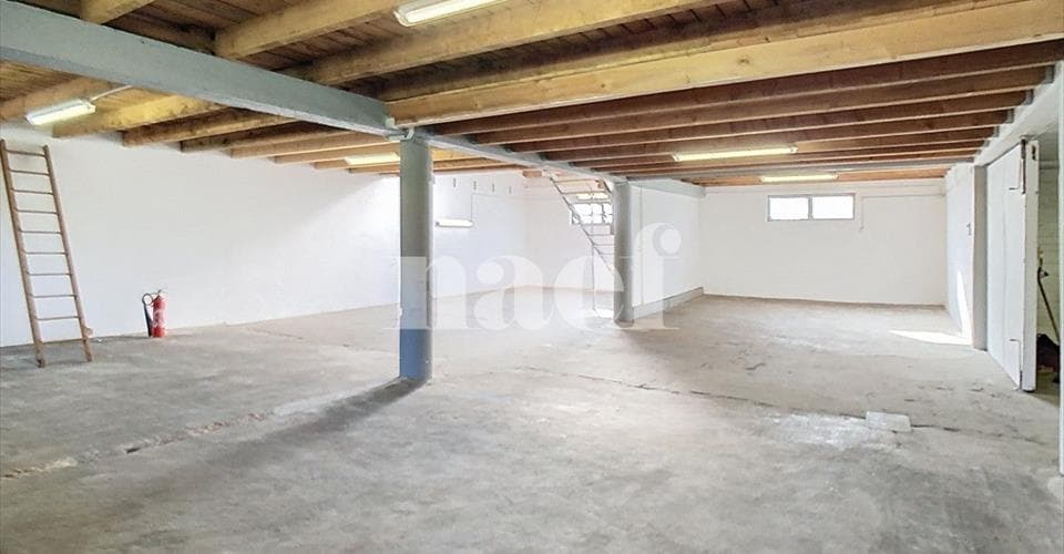 Chemin des Planches à Michoud 10