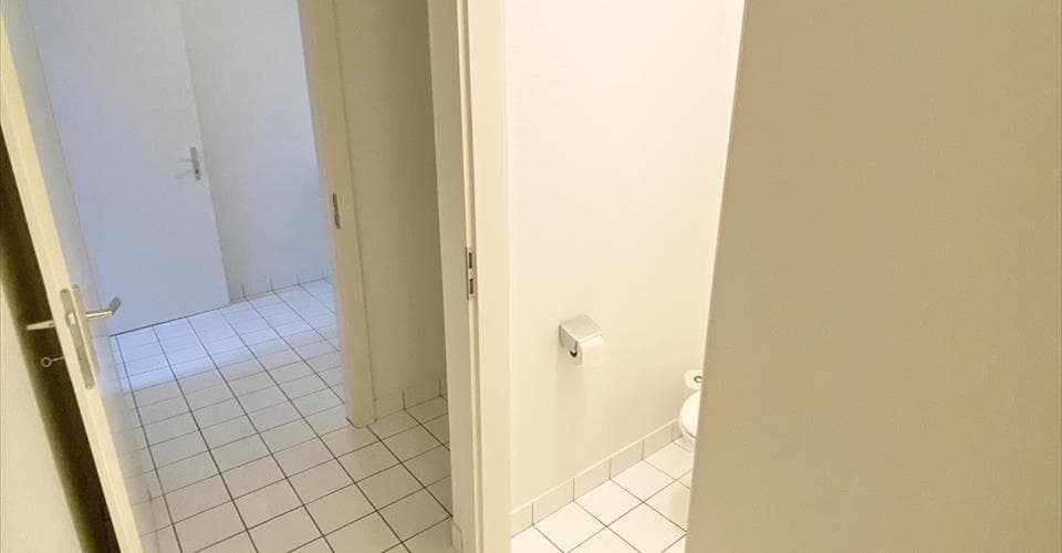 Escaliers du Grand-Pont 7