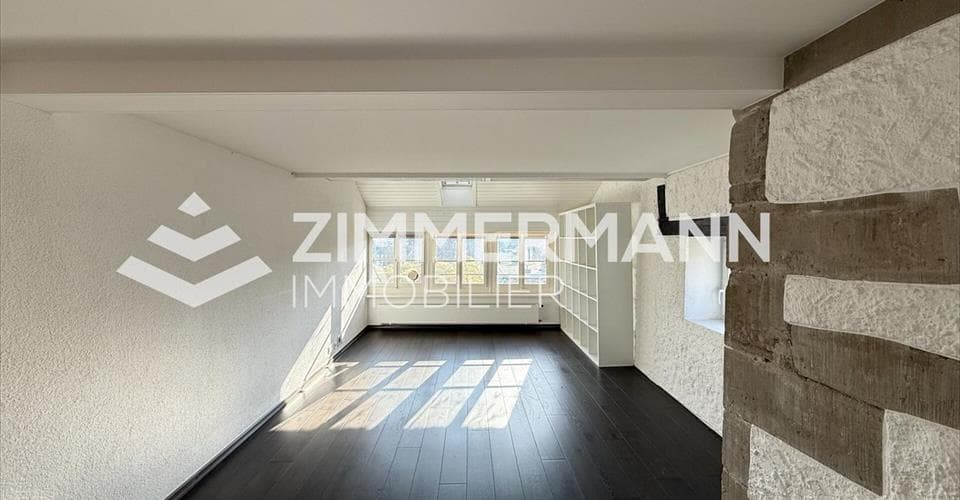 Rue Etienne-Dumont 1