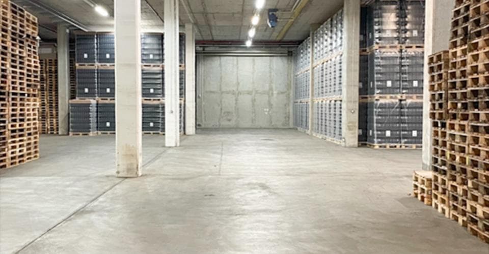 Storage room in 1165 Allaman, 1640m² – Photo 2 of 4