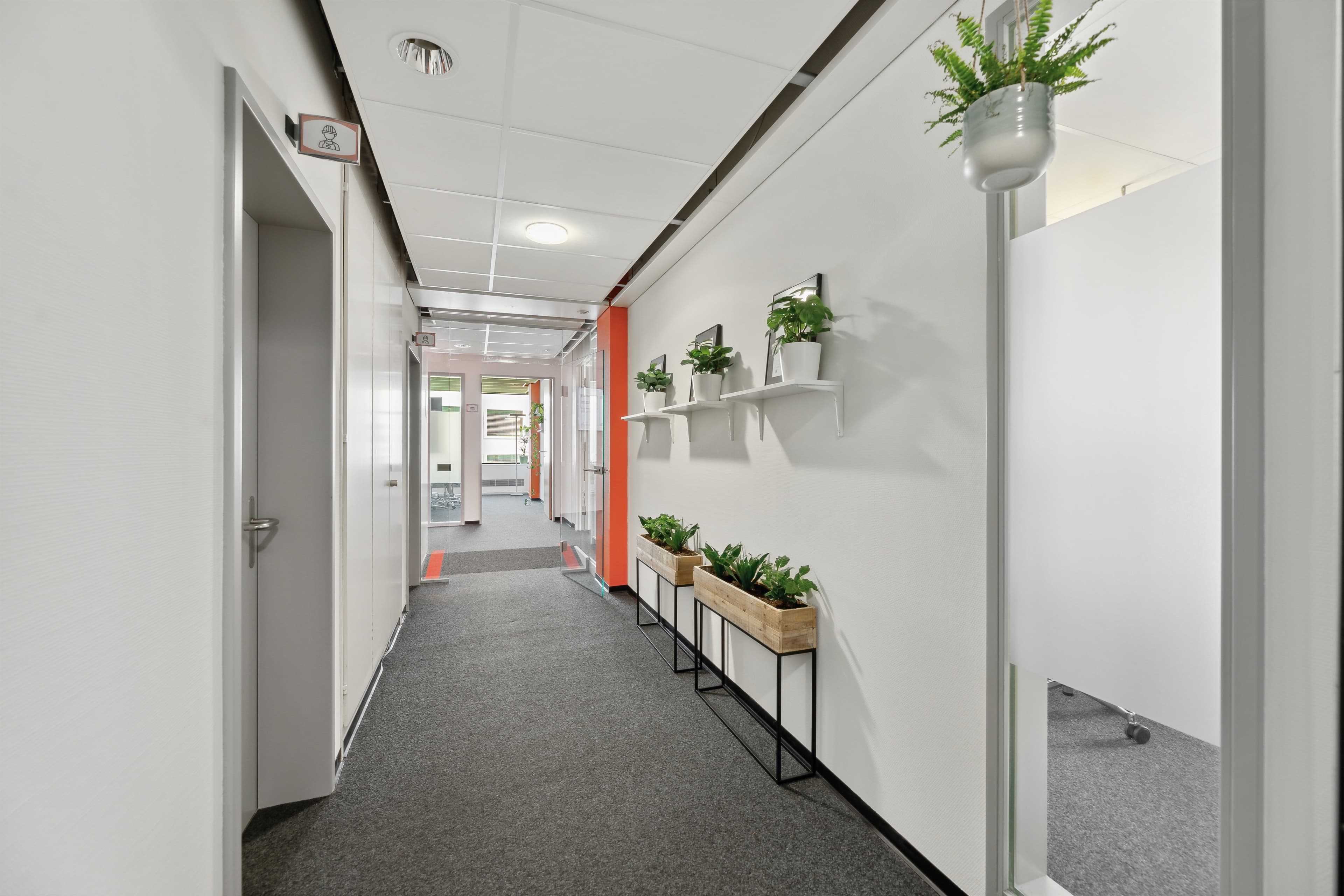 Altstetterstrasse 124