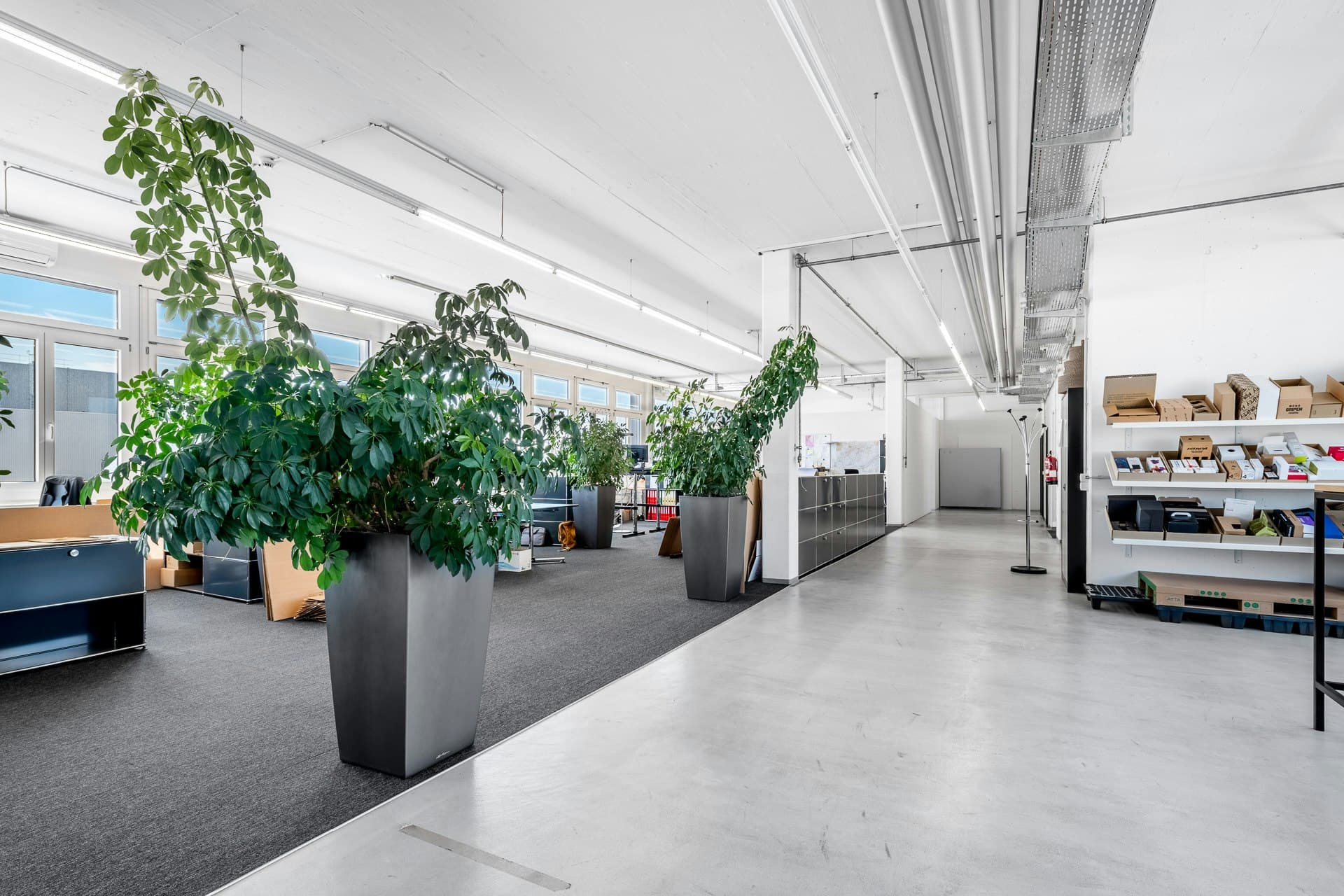 Office Althardstrasse 246