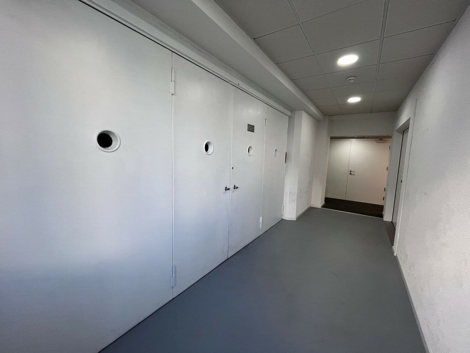 Office Rue de Genève 88bis