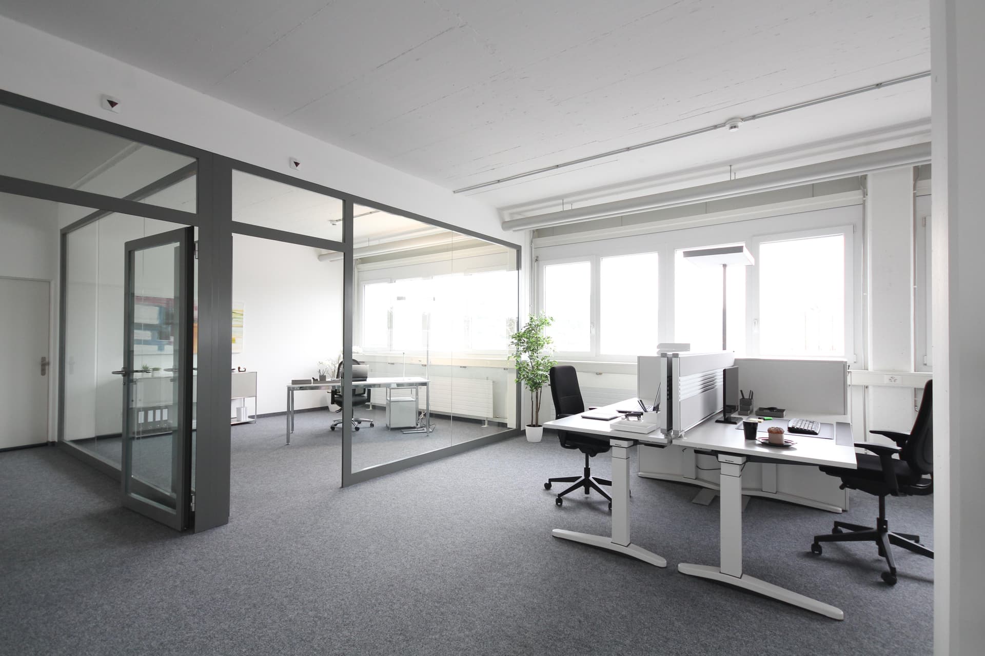 Espace commercial au Sternenfeldstrasse 14, 4127 birsfelden baeumlihof – Photo 4 sur 8