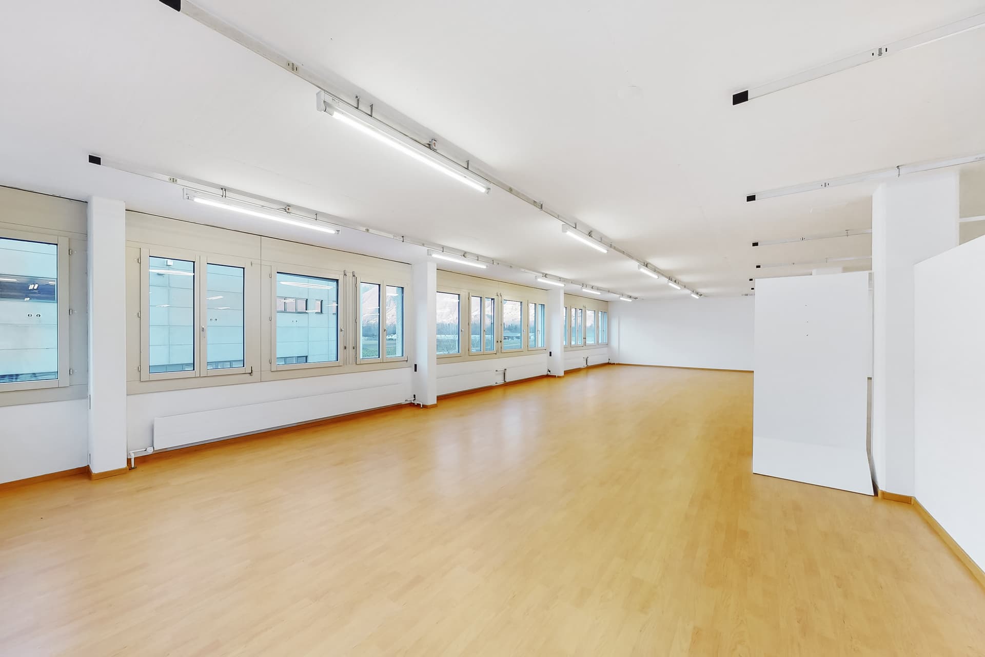Gewerbe an Via Luserte 2, 6573 Magadino – Bild 5 von 5