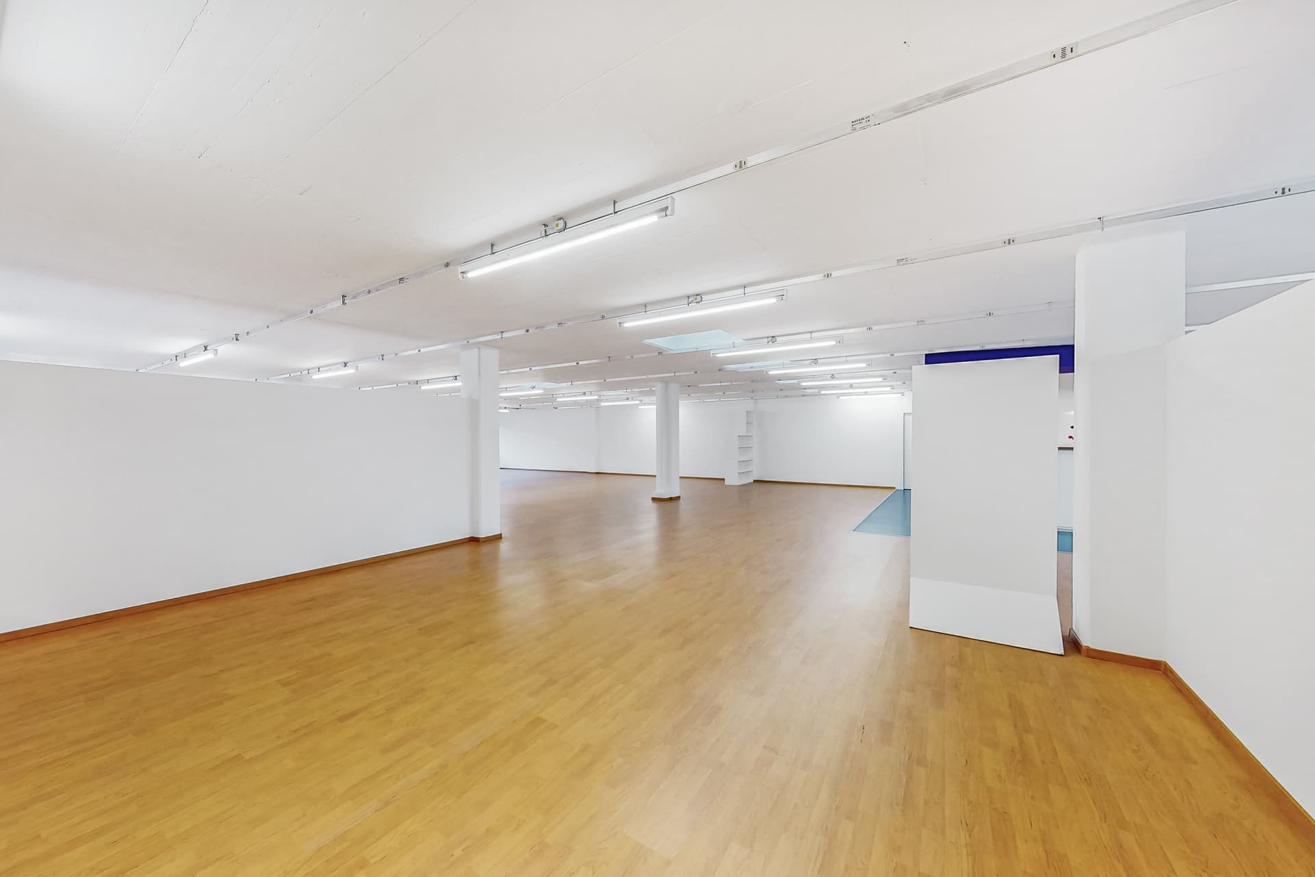 Gewerbe an Via Luserte 2, 6573 Magadino – Bild 2 von 5