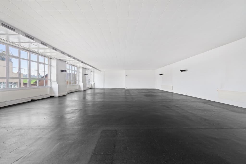 Alte Affolterstrasse 1