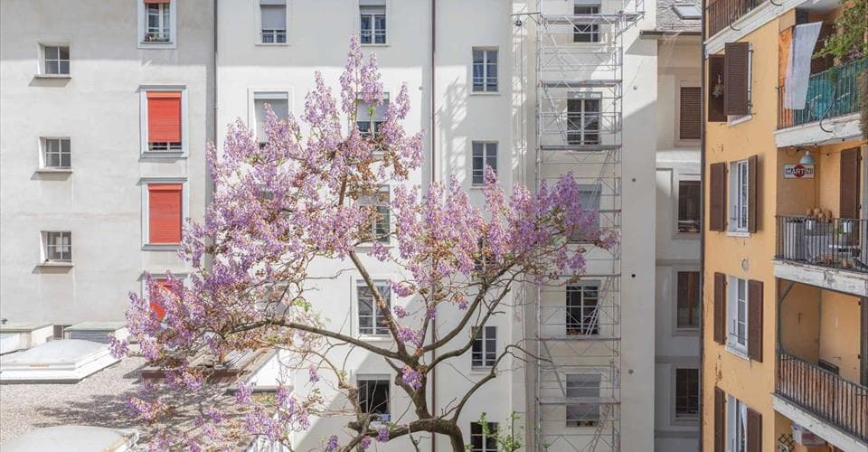 2, rue Sigismond- Thalberg