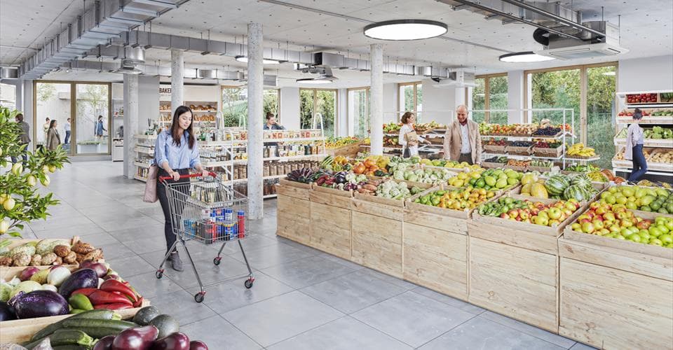 Chemin de la Grangette 1