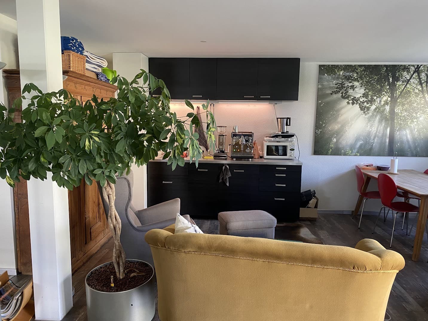 Spitzengeerstrasse 7