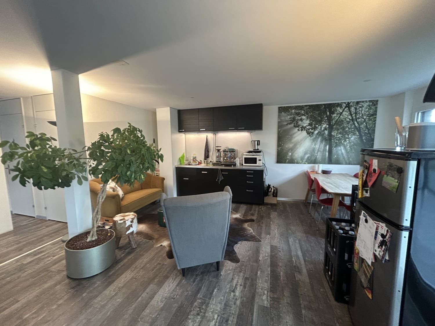 Spitzengeerstrasse 7