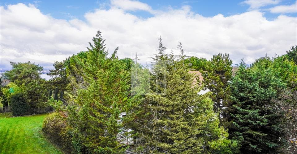 Chemin du Pré-Puits 15