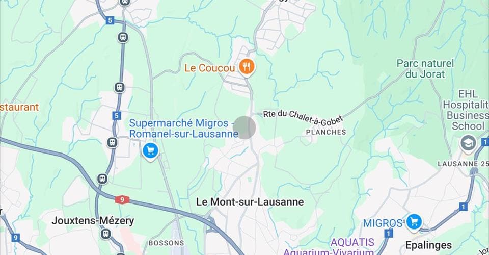 Office at Route de Cugy, 1052 Le Mont-sur-Lausanne – Photo 2 of 7