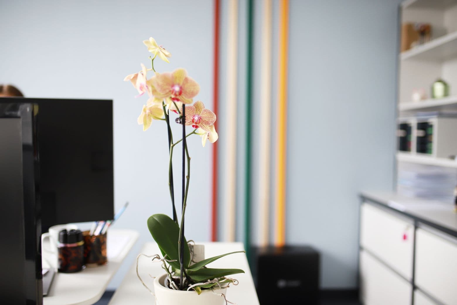 Office Lettenstrasse 7