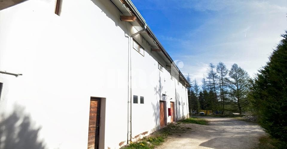 Chemin des Planches à Michoud 10